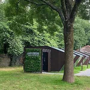 Cosy Cinema Campsite